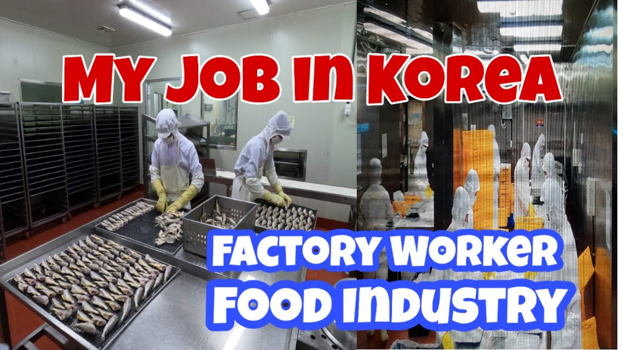 FACTORY WORKER IN KOREA | FOOD INDUSTRY