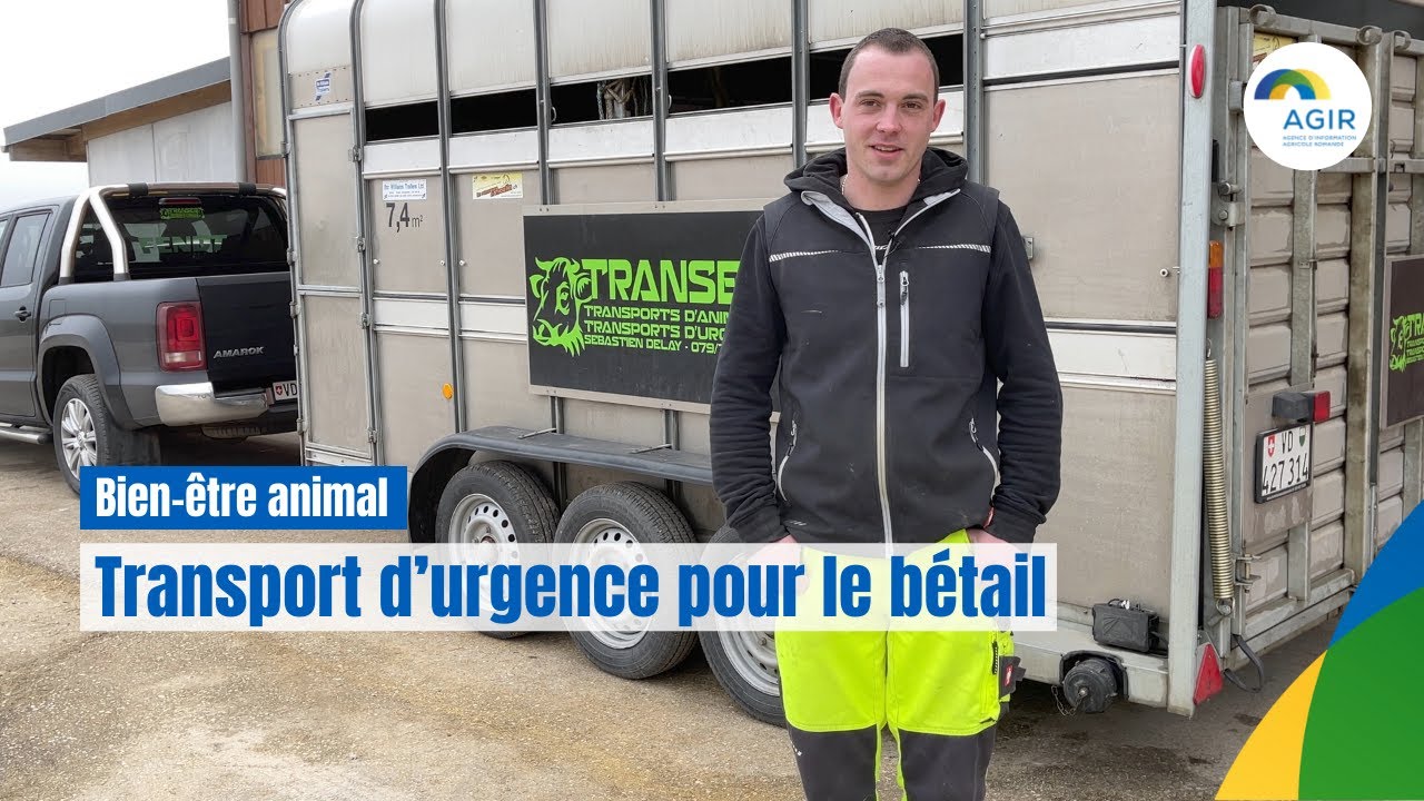 Une société de transports au service du bien-être animal