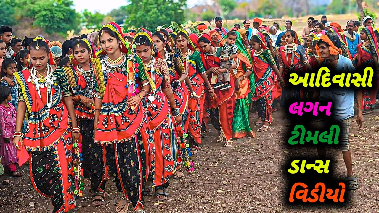 આદિવાસી લગન ટીમલી ડાન્સ વિડીયો //Aadivasi Lagan Timli Dance Video//Aadivasi Rathwa Office Kavnat 
