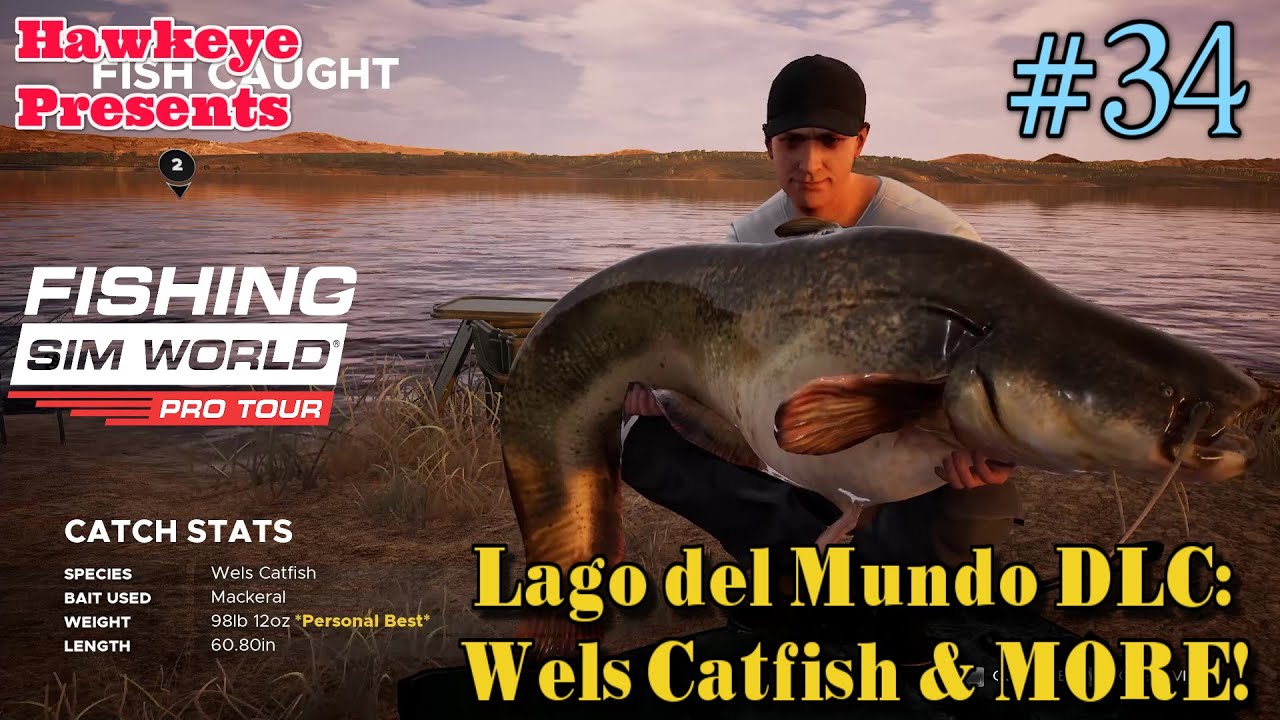 Fishing Sim World - #34: Lago del Mundo DLC: Wels Catfish & MORE!