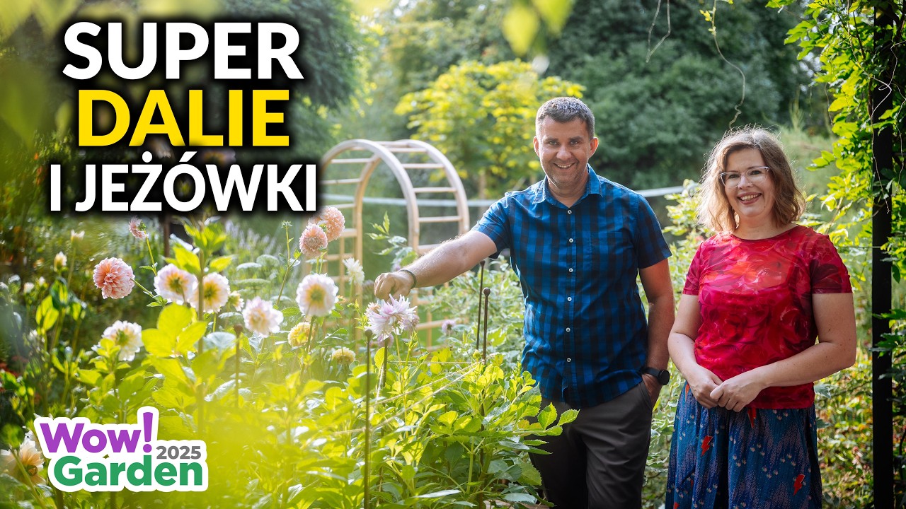 Niesamowite Dalie i Jeżówki. Stwórz rabatę marzeń | Wow!Garden 2025
