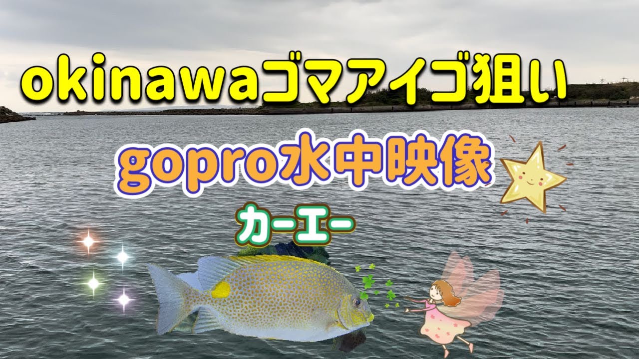 okinawaカーエー（ゴマアイゴ）狙いにいったら！水中映像もあるよ