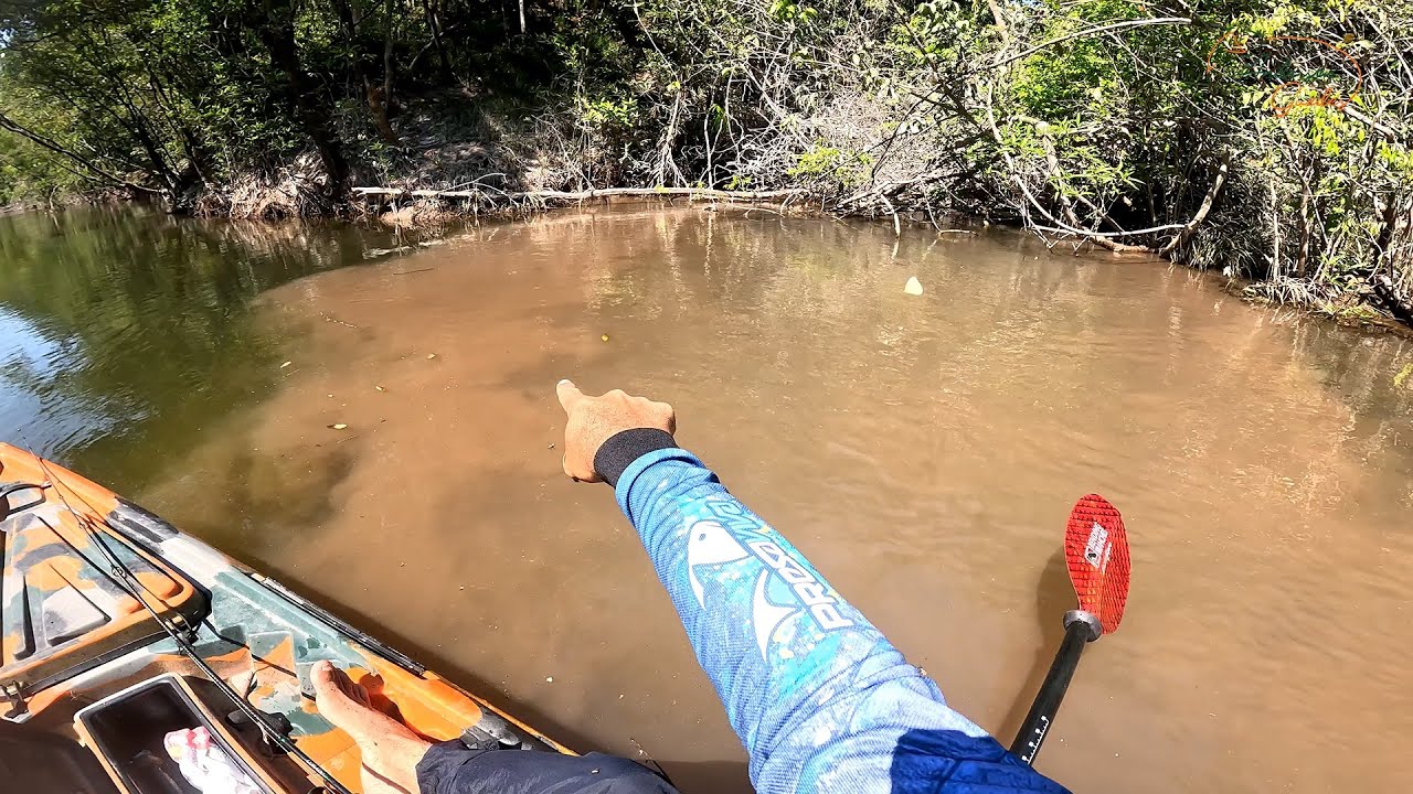CHEIRO FORTE, RANGENDO DENTES, A CRIATURA TORNOU A AGUA TURVA, FILMEI ELES.