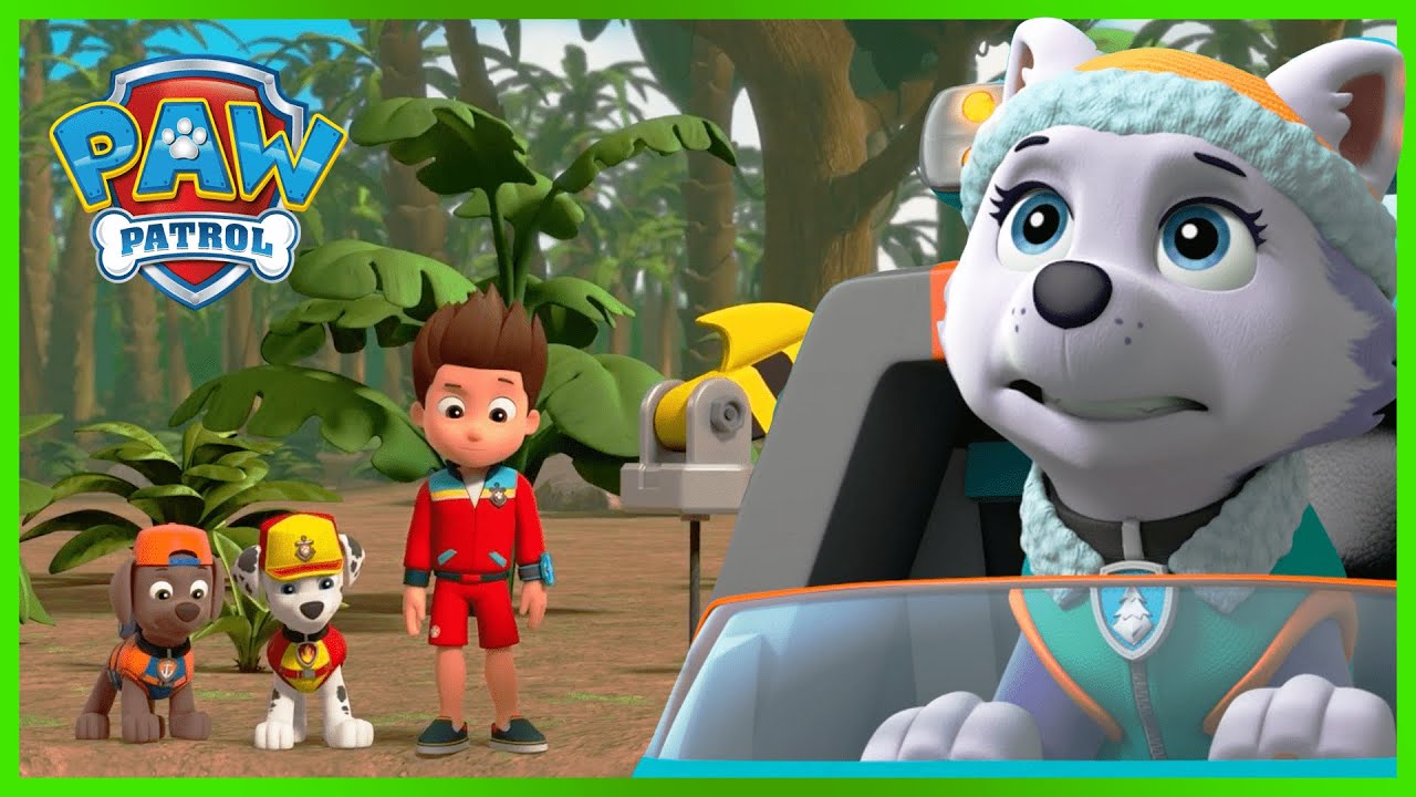 Zuma saves Rocky in a runaway box fort and more! - PAW Patrol - Cartoons for Kids Compilation