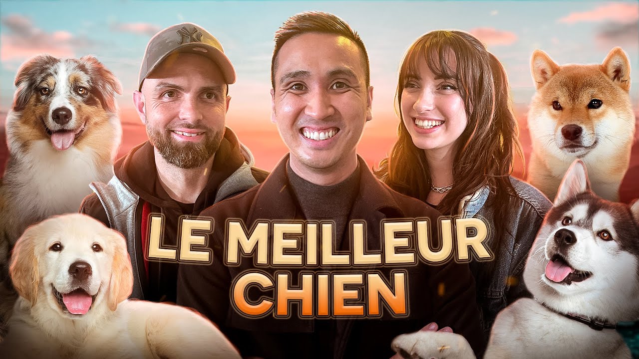 Compétition de la meilleure race de Chien (ft @EspritDog)