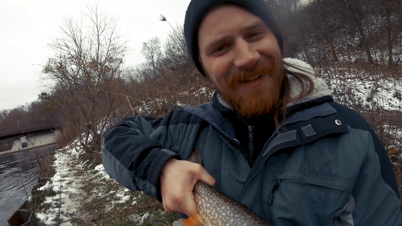 Milwaukee River Lake Trout