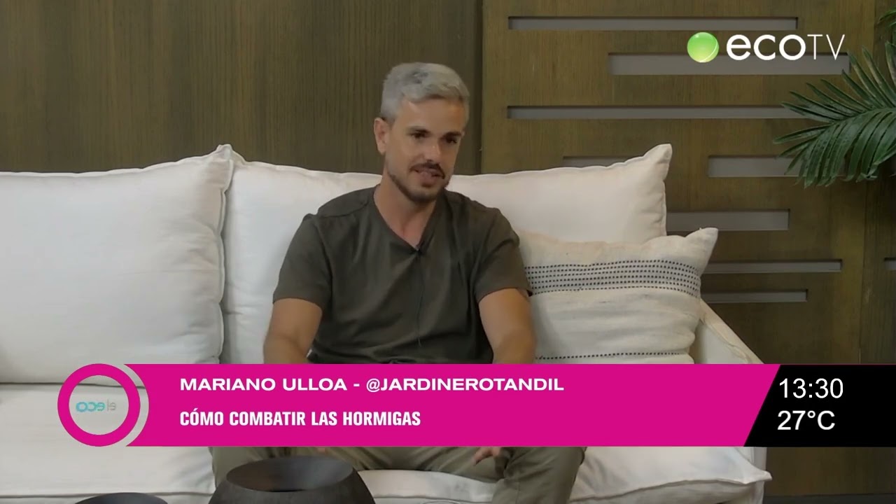 MARIANO ULLOA EL ORIGEN DE LAS HORMIGAS Y COMO COMBATIRLAS