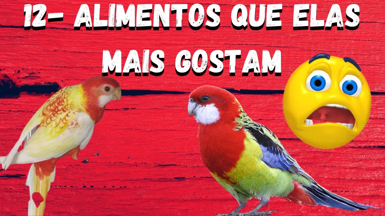 roselas alimentos que elas mais gostam