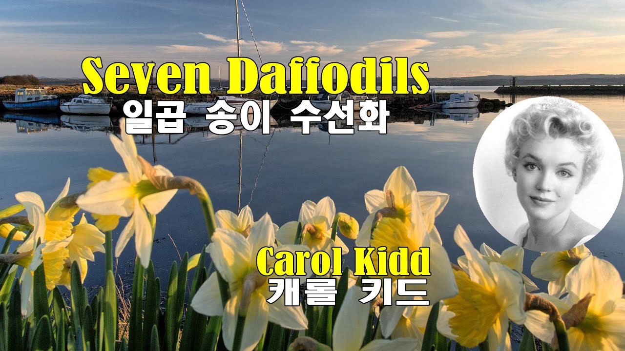 Seven Daffodils - Carol Kidd(일곱 송이 수선화 - 캐롤키드)(2000) lyrics가사 해석