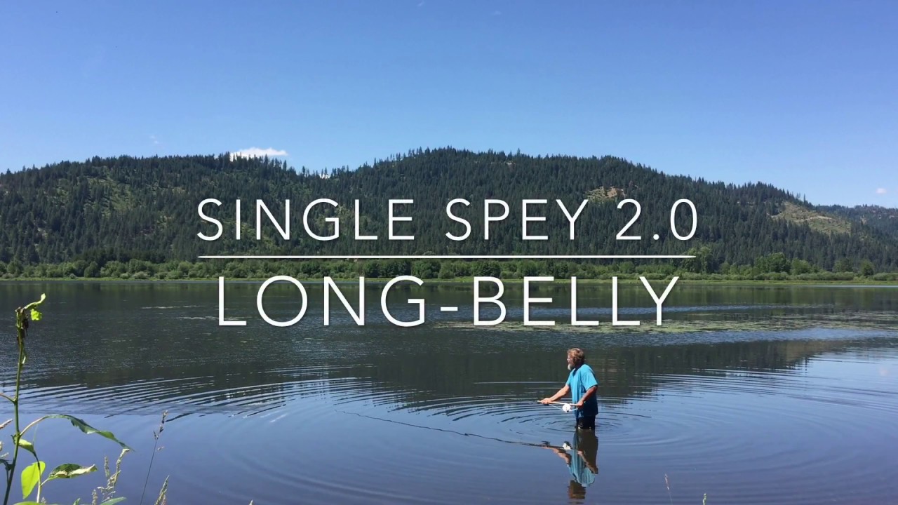 Single Spey 2.0 - Longbelly