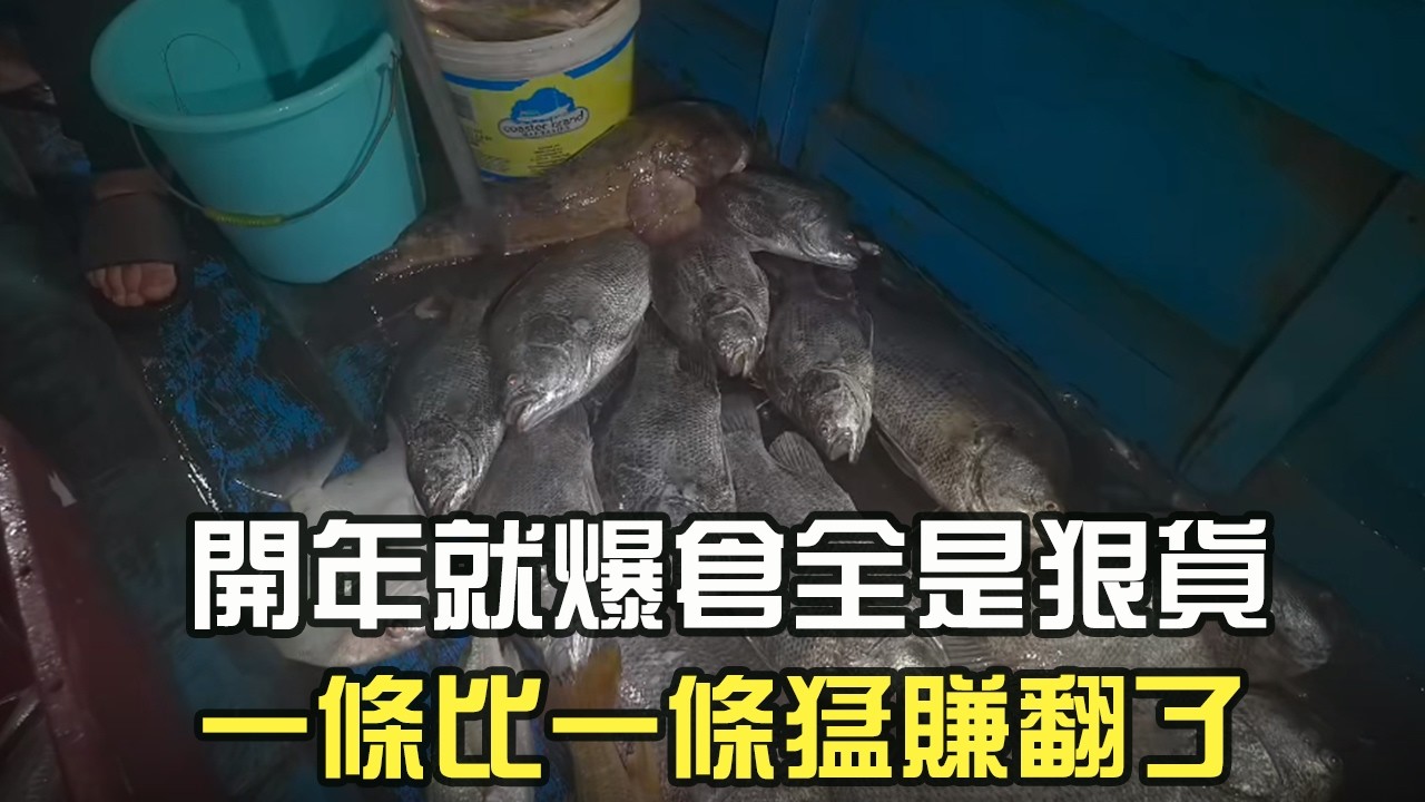 開年就爆倉全是狠貨，壹條比壹條猛賺翻了#阿牛愛捕魚 #趕海 #熱門 #蘇裏南 #開年紅