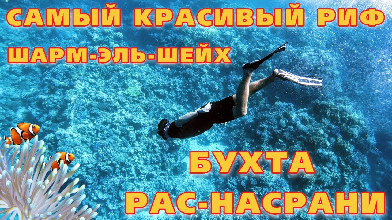 ЛУЧШИЙ КОРАЛЛОВЫЙ РИФ ШАРМ-ЭЛЬ-ШЕЙХ❗ Бухта Рас-Насрани || Ras Nasrani || Лучший ПЛЯЖ и РИФ в Египте