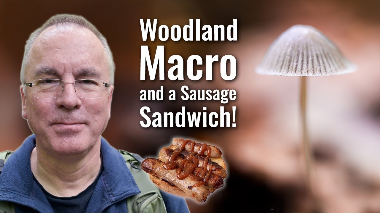 Woodland Macro | focus stacking and shallow depth of field!