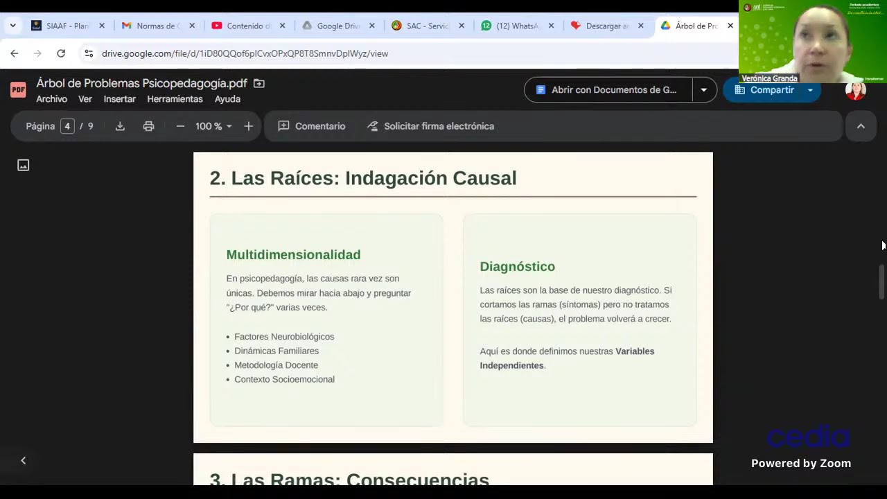 INVESTIGACIÓN ACCIÓN PARTICIPATIVA A