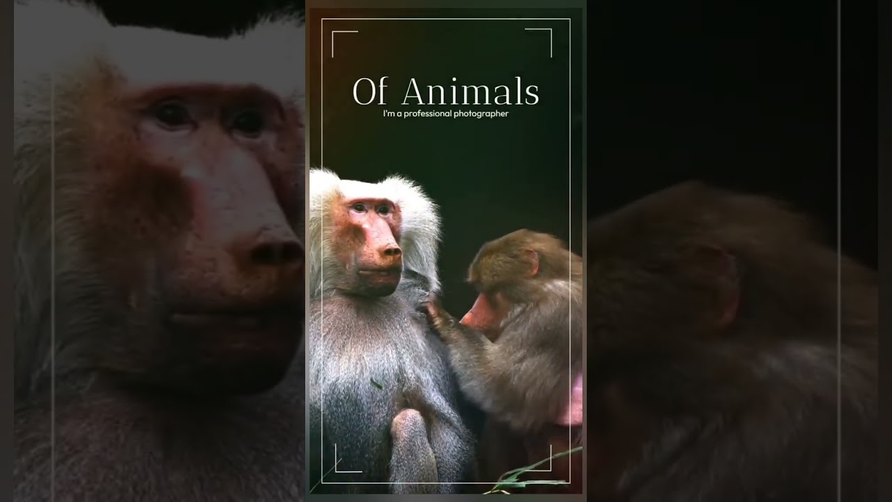 Save the Environment Through the Lens of Wildlife Photography