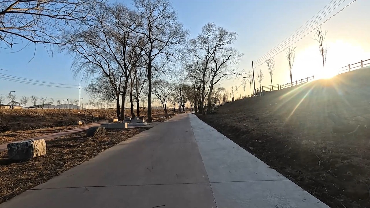 704th Running | 2/22/2026 | 11km Easy Run