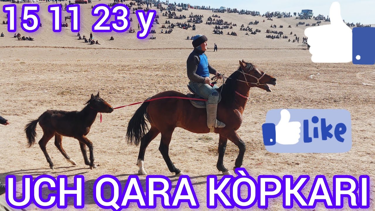 NAVOIY XATIRCHI UCH QARA KÒPKARI 15 11 23 YIL BARCHAGA OMAD 👍👍👍🙋‍♂️