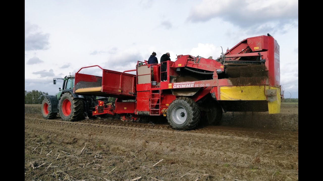 MEGA KOPANIE ZIEMNIAKÓW 2017 - FENDT / CASE / GRIMME SE 150-60
