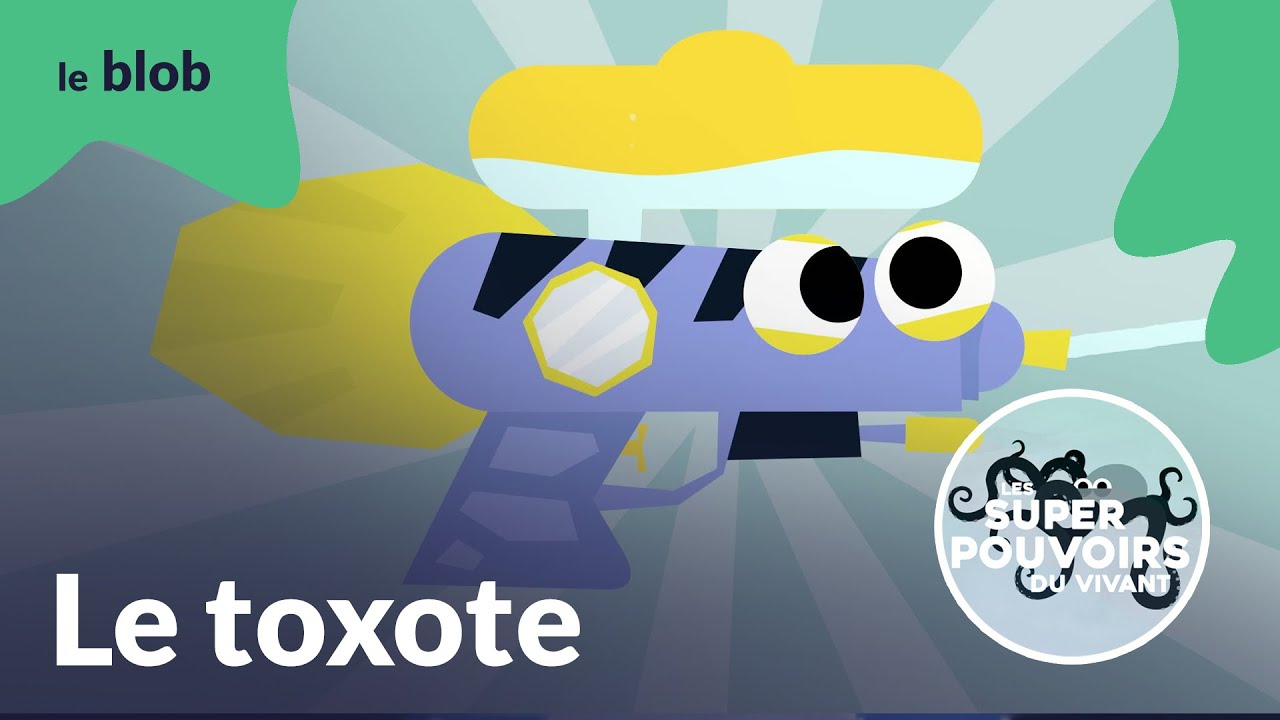Le toxote, le pistolet à eau des mangroves | Les super-pouvoirs du vivant