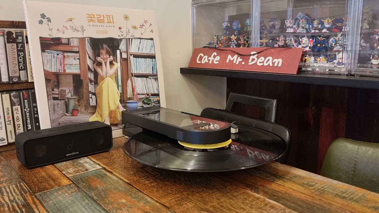 아이유 - 사랑이 지나가면
