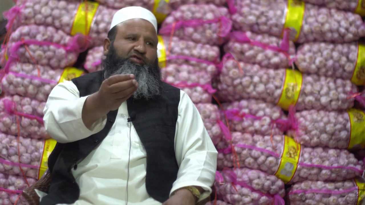 Pakistan main Adrak or Lesaan ka karobar | Interviews from biggest arrti of Islamabad Sabzi Mandi