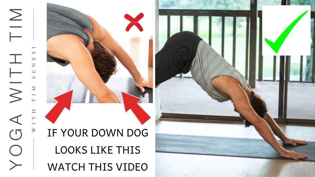 Downward Dog -  Learn How to Fix & Align Your Downward Facing Dog Pose | Yoga With Tim