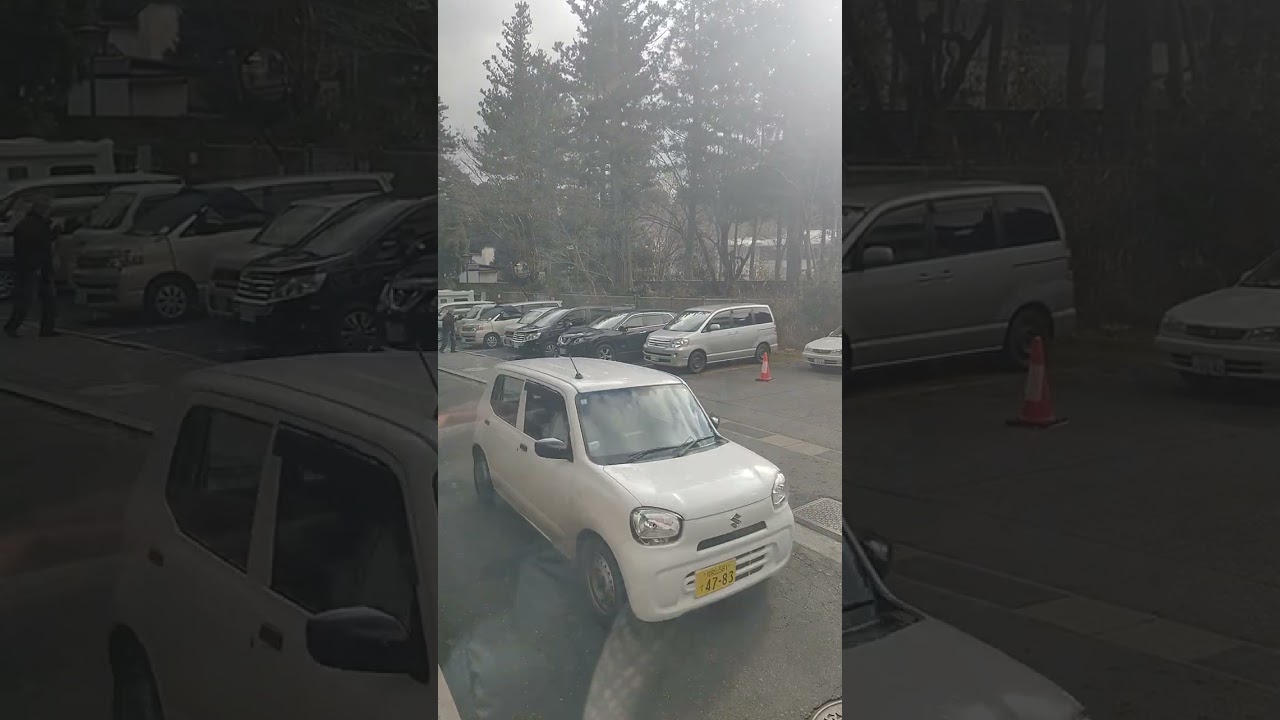 南海りんかんバスの運転手さん案内ありがとう