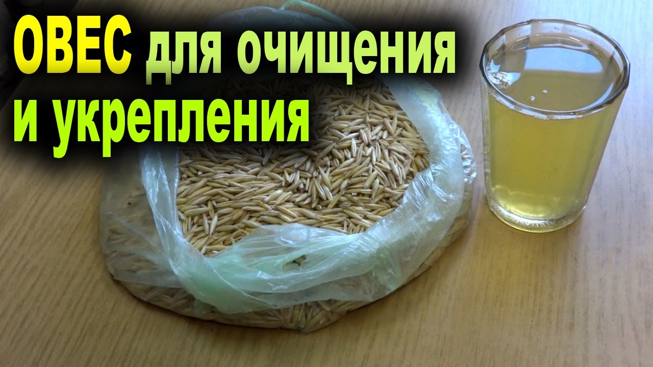 Отвар из овса для очищения и укрепления организма