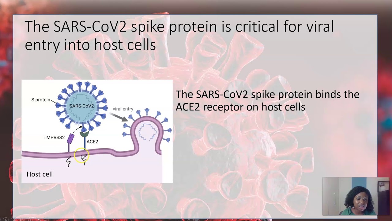 2. Was the SARS-CoV-2 virus created in the lab by scientists?