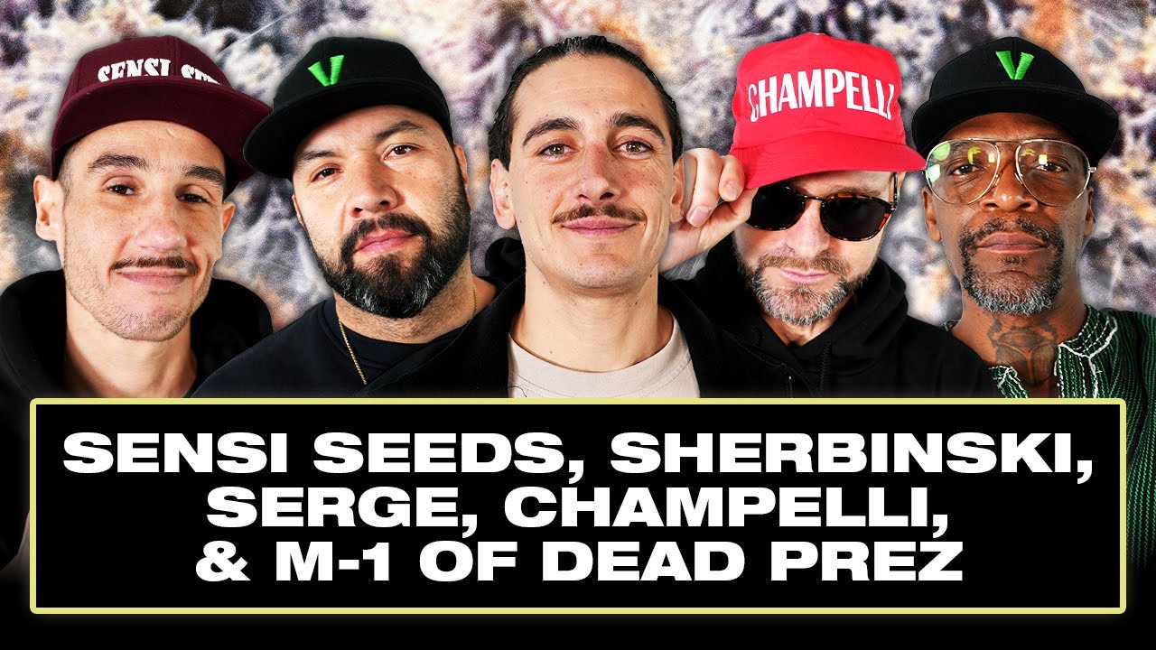 Voice of the Plant: Alliance of OGs, Seeds & Rare Genetics, Talking Terps