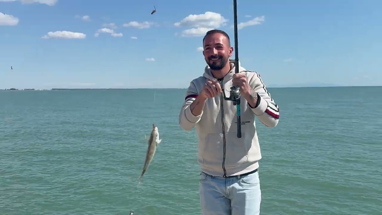 🎣 Mersin Limanı’nda Balık Şöleni! Olta Attıkça Geldi 🐟🔥