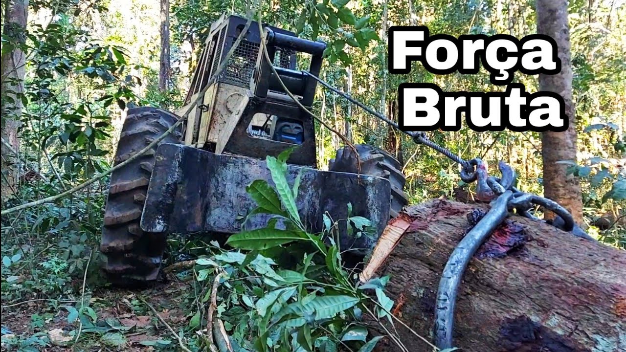 Eskideer Ts22 não deu conta de puxar o Cedro. Mafia da tora.