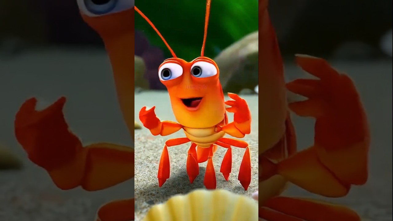 Meet Your 3D Ocean Friends - Sea Urchin, Shrimp & Sea Cucumber | Fun Sea Animals for Kids