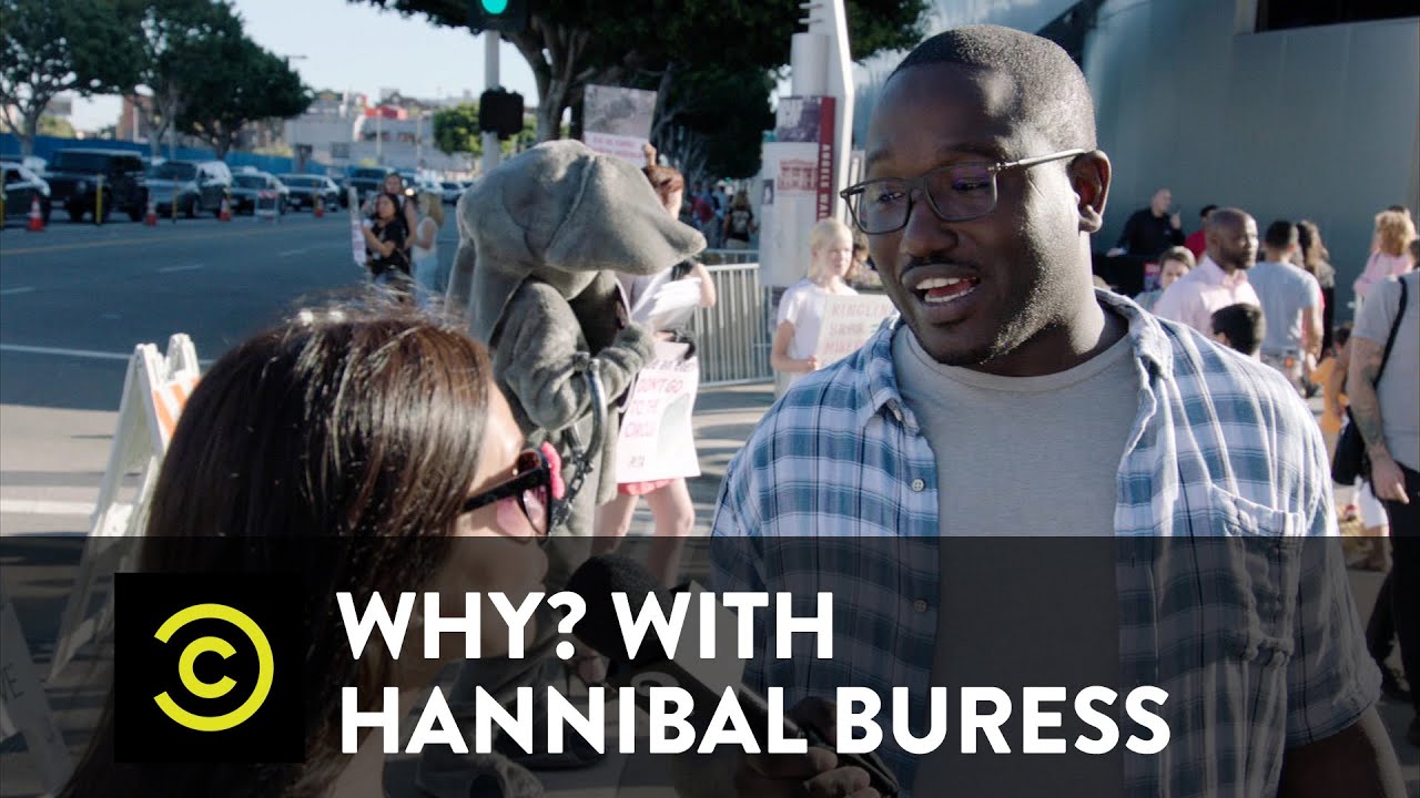 Why? with Hannibal Buress - Visiting a PETA Protest
