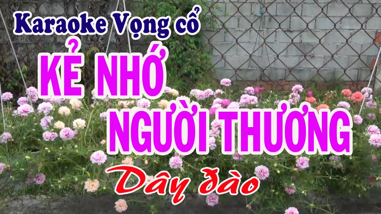 Karaoke Tân cổ: KẺ NHỚ NGƯỜI THƯƠNG - Dây Đào thấp - Tác giả: Nguyễn Hữu Nghĩa