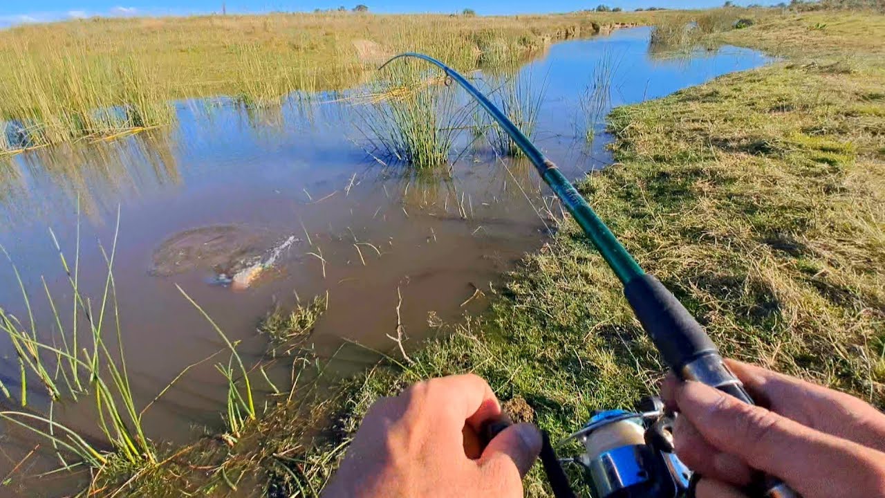 PESCANDO Y EXPLORANDO ARROYO LLENO DE PECES !!!