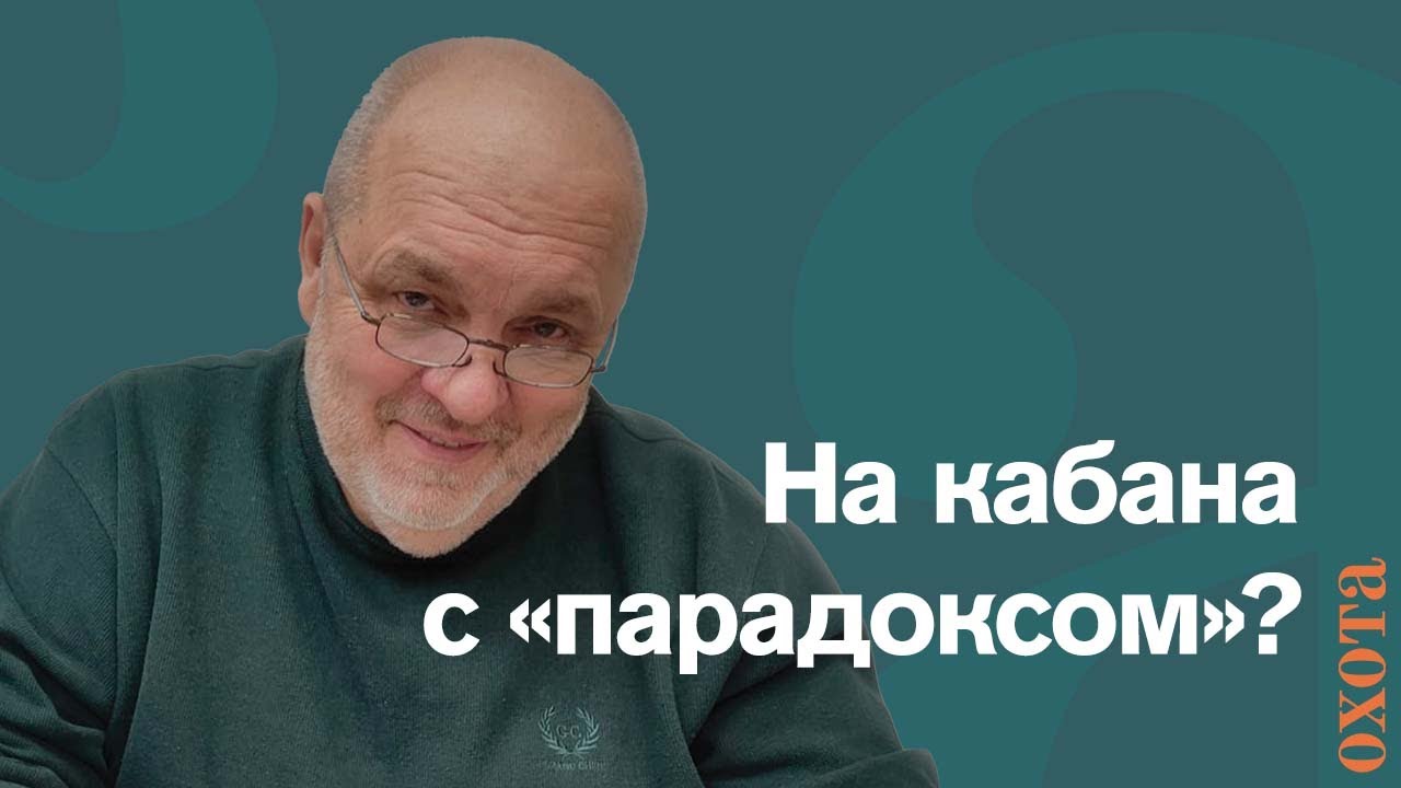 Перспективы охоты из засидки с «парадоксом». Валерий Кузенков об охоте на кабана.