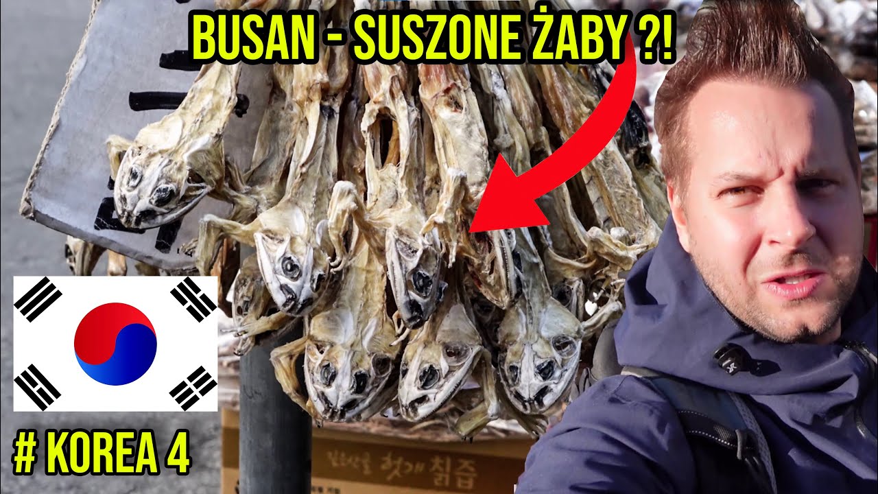 BUSAN - PORTOWE MIASTO PRZYSZŁOŚCI