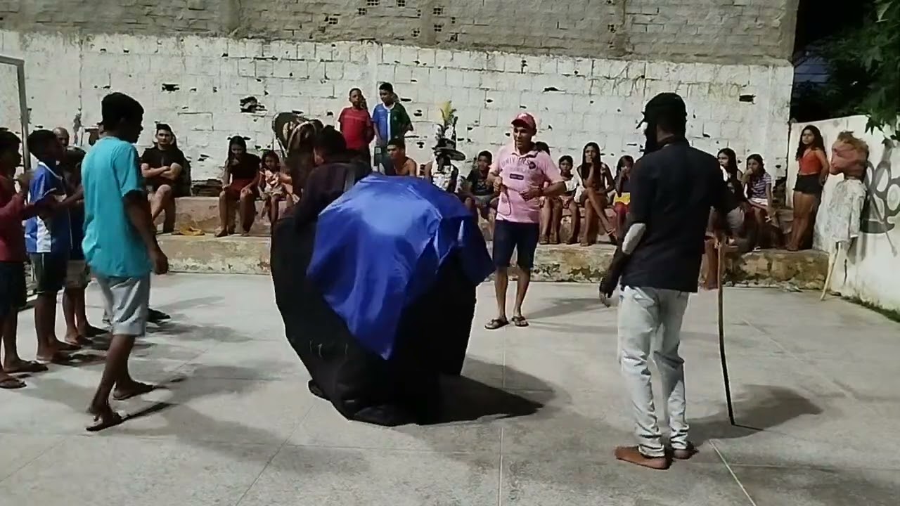 Ensaio do boi fubá,galera fubazada