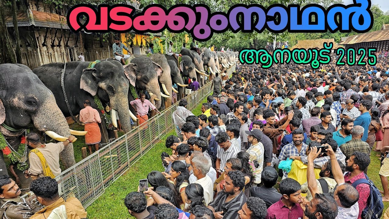 Vadakkumnathan Aanayootu 2025 | വടക്കുംനാഥൻ ആനയൂട്ട് 2025