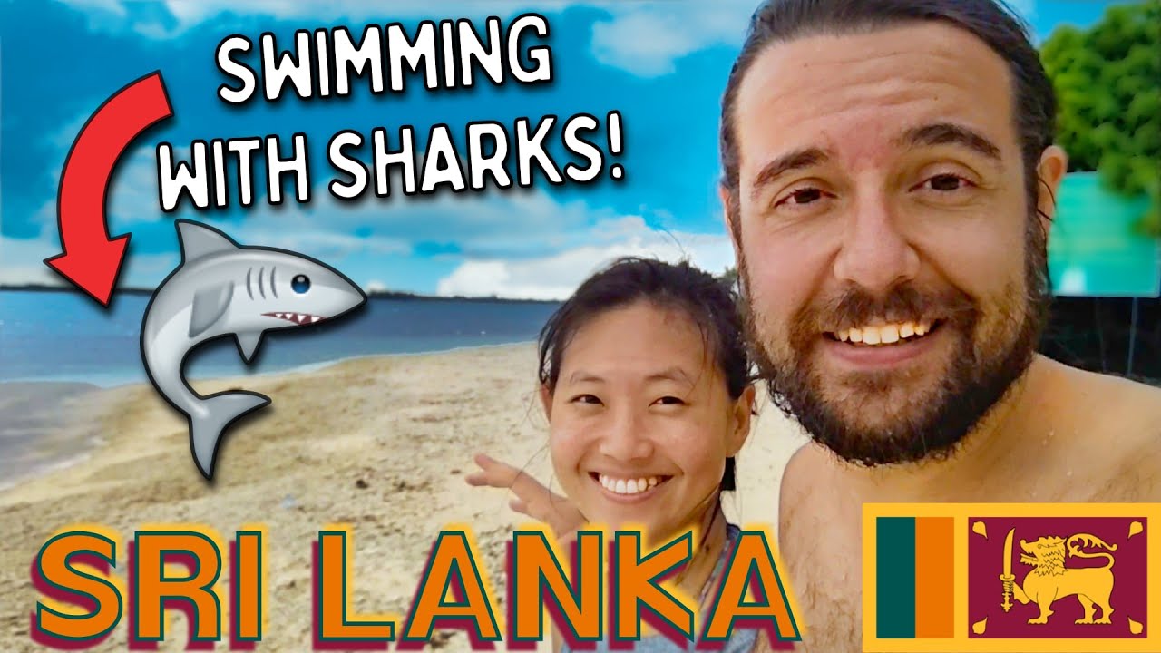 SRI LANKA travel vlog - Snorkel with TURTLES and SHARKS! 🇱🇰 Pigeon Island