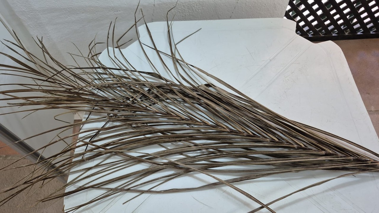 MISSA DE CINZAS - IGREJA DA ORDEM PRIMEIRA DO CARMO - CACHOEIRA BA