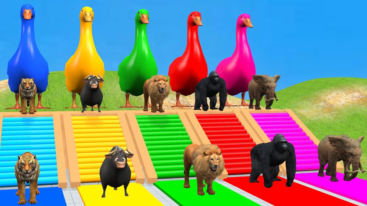Long Slide Game with Cow Elephant Gorilla Hippopotamus Tiger 3d Animal Game Funny 3d Animals