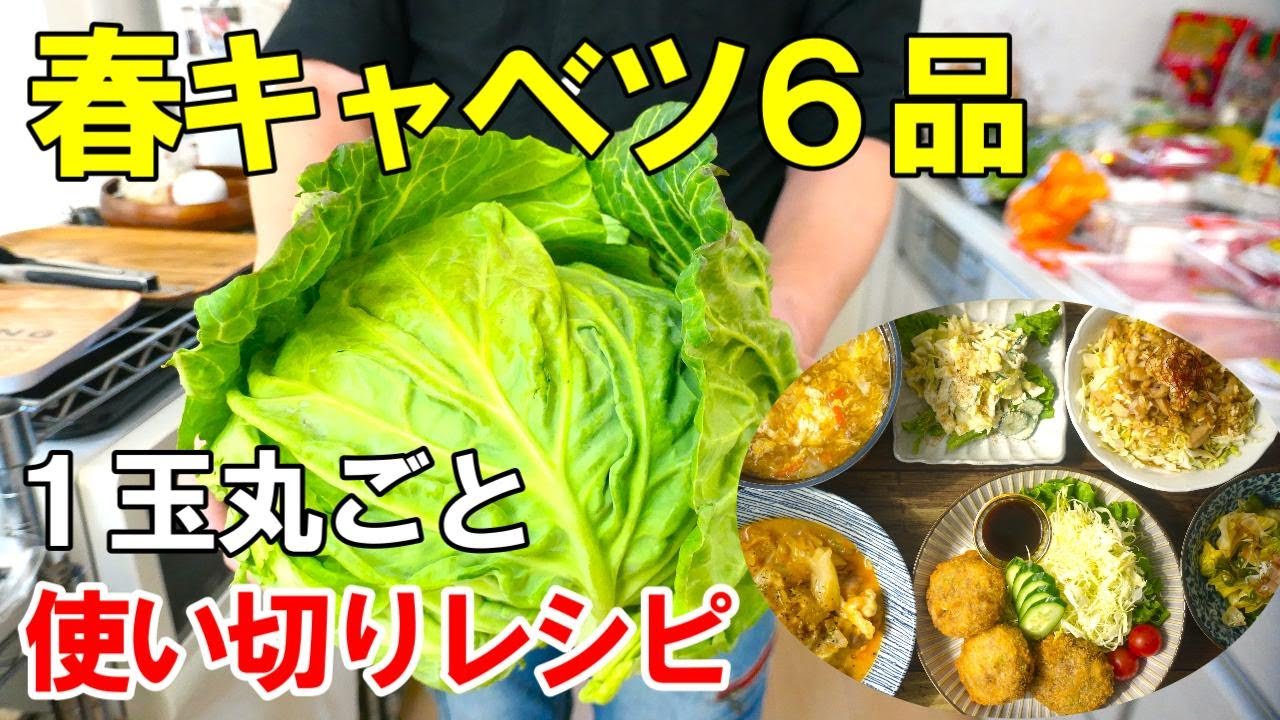【再UP】『春キャベツ１玉使い切り！』☆旬のキャベツで６品！もりもり食べれるおすすめレシピ集！