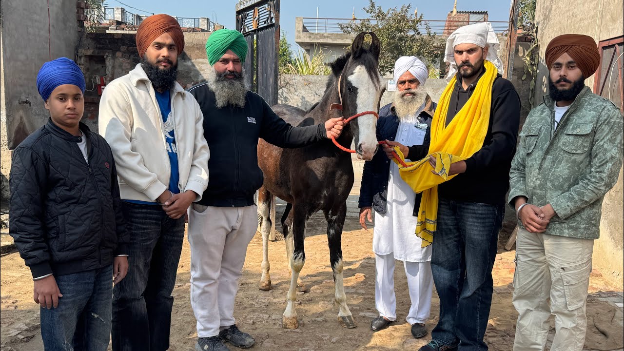 ਭਜਨ ਸਟੱਡ ਫਾਰਮ ਦਾ ਨਵਾ ਨਗੀਨਾ 🐎🦅