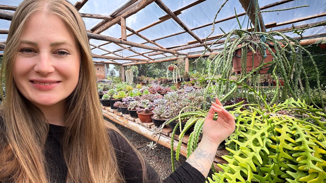 TOUR SÍTIO LINDO COM SUCULENTAS E PLANTAS COM JARDIM RÚSTICO COM TRONCOS  INTERIOR PIRATUBA -SC