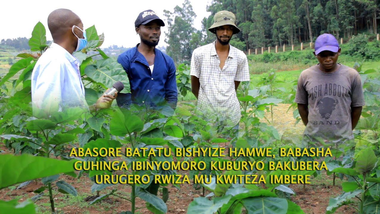 Urubyiruko rwishyize hamwe ruhinga 