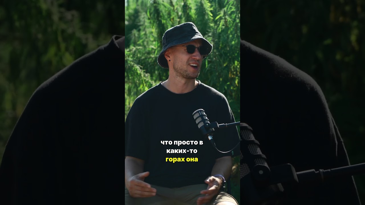 Конопля - сорняк или ценное растение? 🤔 Многие видят её как дикий куст, заполоняющий поля и пустыри!