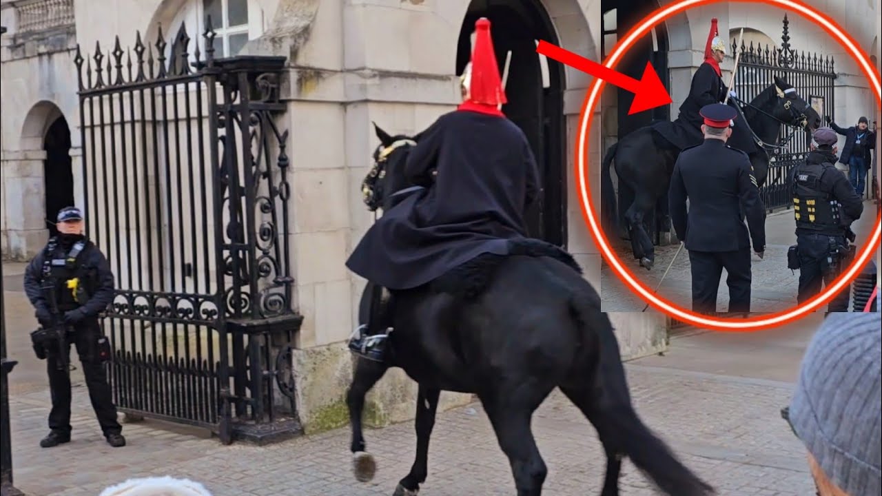 What Happen?😳King's Horse Freaks Out! Police and COH Rush to Check!