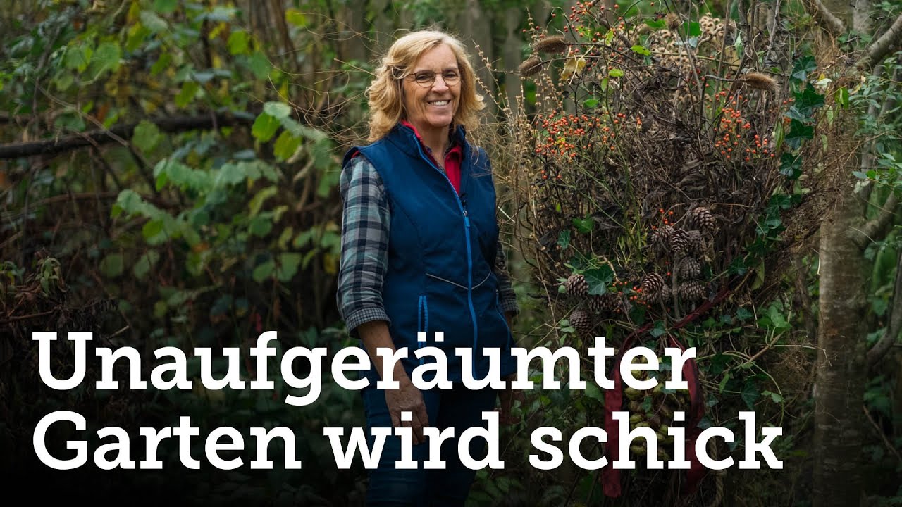 Unaufgeräumter Garten im Winter (wichtig für Vögel, Insekten, Igel usw.) wird zum Hingucker! 🤗